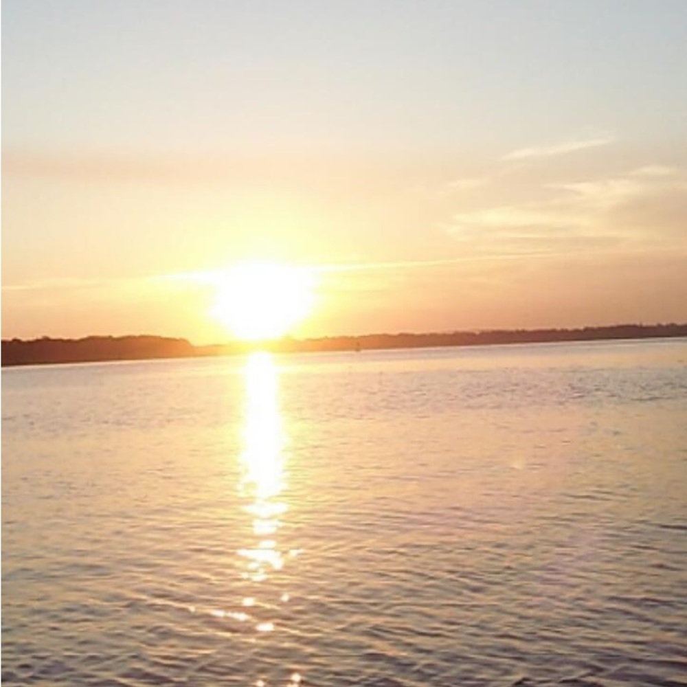 Meet your Posher, Allie - Picture 7 of 16